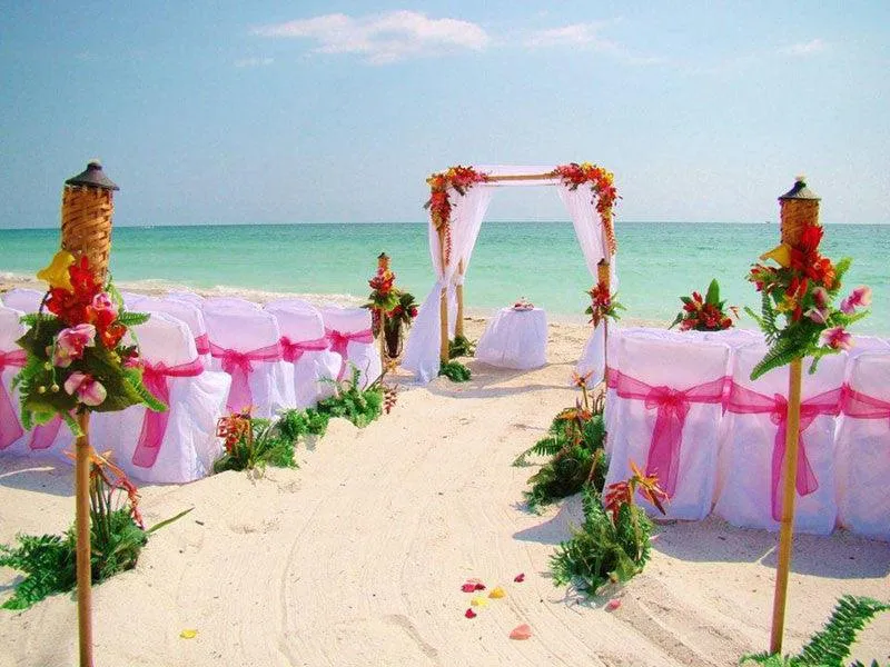 Poly Premier Chair Sashes
