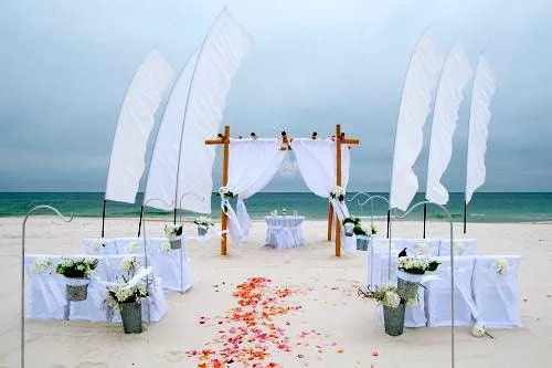 Poly Premier Chair Sashes