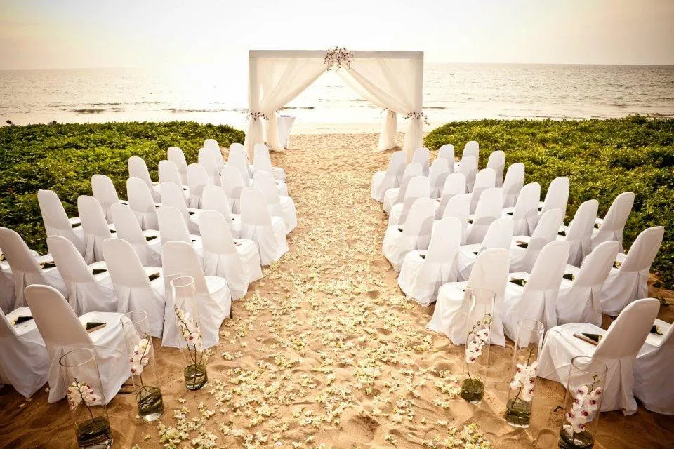 Poly Premier Chair Sashes